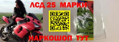 СК Канаш