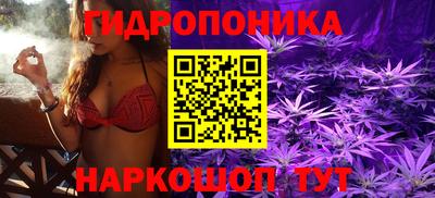 СК Канаш